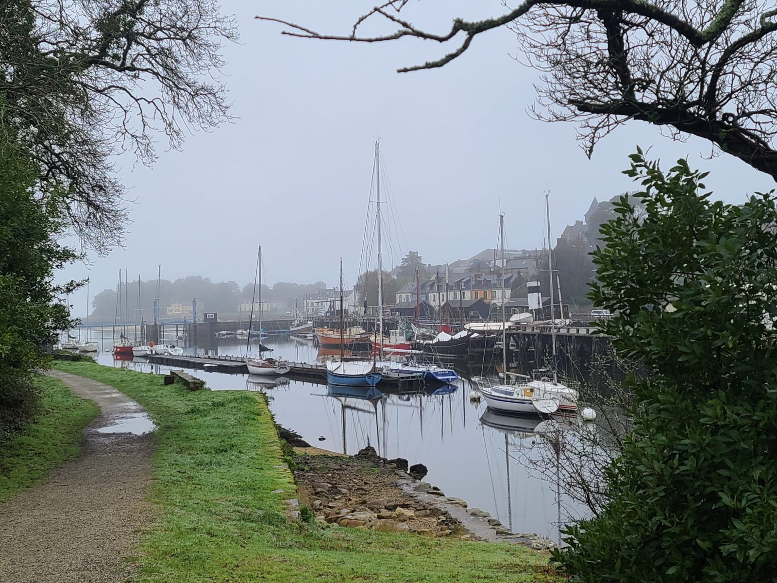 Vue du port de Douarnenez 